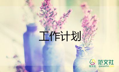 管理和銷售工作計(jì)劃6篇