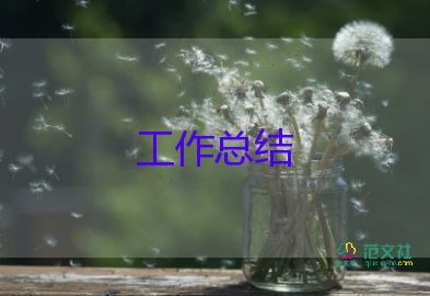 青協(xié)項目部工作總結最新5篇