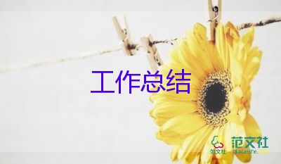 保險與個人工作總結(jié)5篇