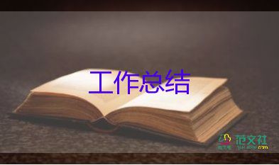 京蒙幫扶工作總結(jié)模板8篇