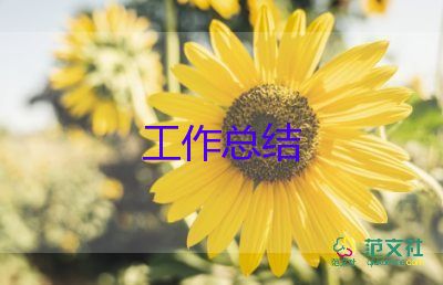 公司客服的工作總結(jié)優(yōu)質(zhì)7篇