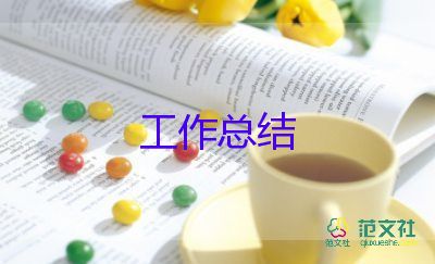 公司會計(jì)工作總結(jié)個(gè)人總結(jié)6篇