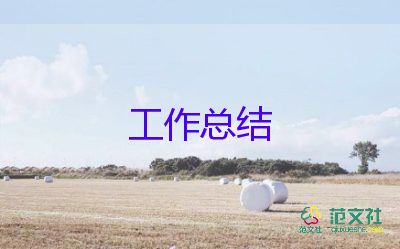 司機的個人總結7篇