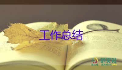 行政個(gè)人工作總結(jié)8篇