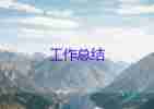 2023年企業(yè)半年總結模板5篇