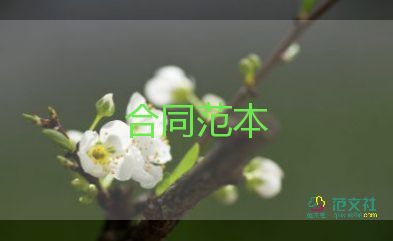 租賃電子設(shè)備合同8篇