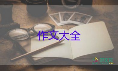 四年級作文我和貓的故事400字5篇