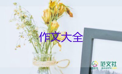 跳蚤市場的作文優(yōu)秀8篇