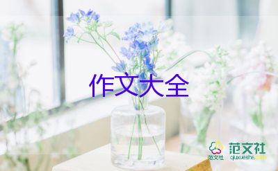 我最喜歡的槍五年級作文5篇