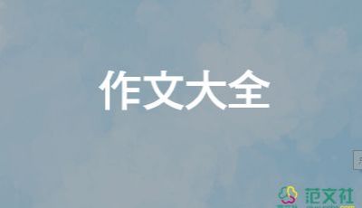 我與貓作文500字5篇