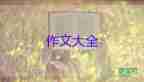 路作文800字作文7篇